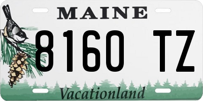 ME license plate 8160TZ