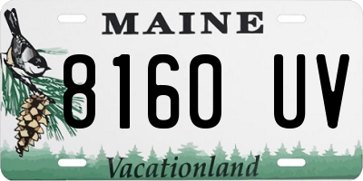 ME license plate 8160UV