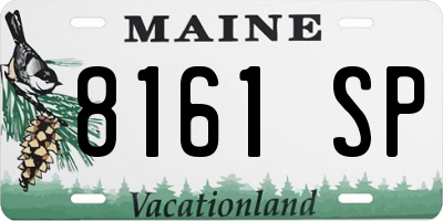 ME license plate 8161SP