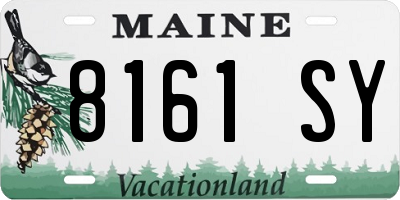 ME license plate 8161SY