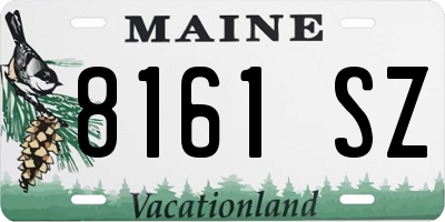 ME license plate 8161SZ