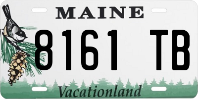 ME license plate 8161TB