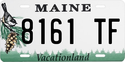 ME license plate 8161TF