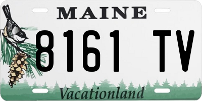 ME license plate 8161TV