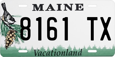 ME license plate 8161TX