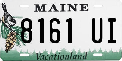 ME license plate 8161UI
