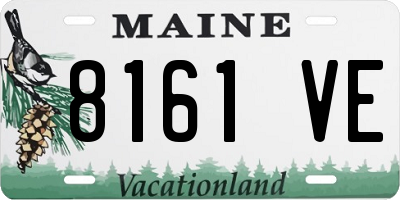 ME license plate 8161VE