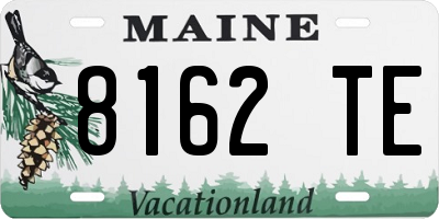 ME license plate 8162TE