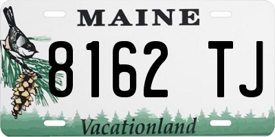 ME license plate 8162TJ
