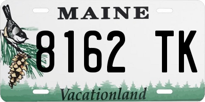 ME license plate 8162TK