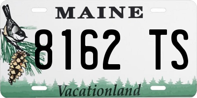 ME license plate 8162TS