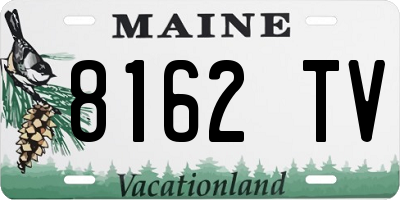 ME license plate 8162TV