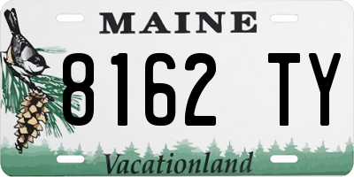 ME license plate 8162TY