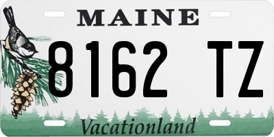 ME license plate 8162TZ