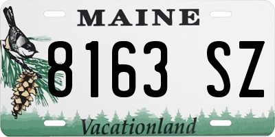 ME license plate 8163SZ