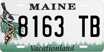ME license plate 8163TB