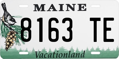 ME license plate 8163TE