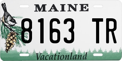 ME license plate 8163TR