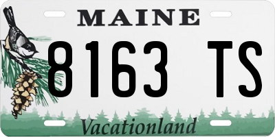 ME license plate 8163TS