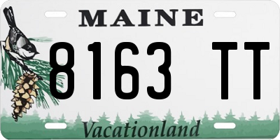 ME license plate 8163TT