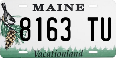 ME license plate 8163TU