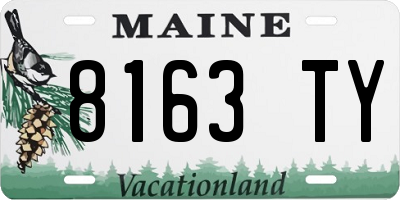 ME license plate 8163TY