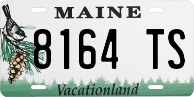 ME license plate 8164TS