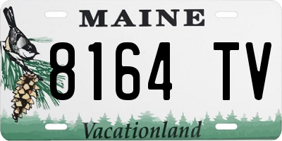 ME license plate 8164TV