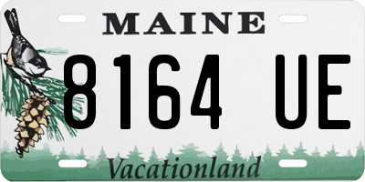 ME license plate 8164UE