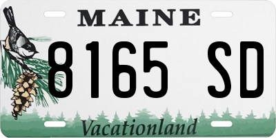 ME license plate 8165SD