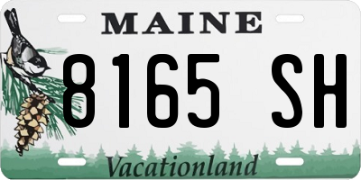 ME license plate 8165SH