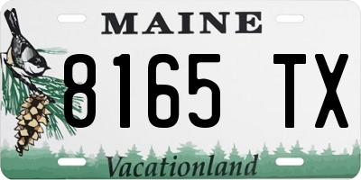 ME license plate 8165TX