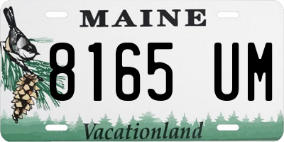ME license plate 8165UM