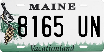 ME license plate 8165UN
