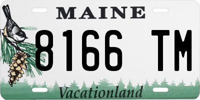 ME license plate 8166TM