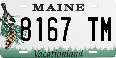 ME license plate 8167TM