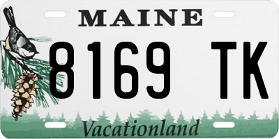 ME license plate 8169TK
