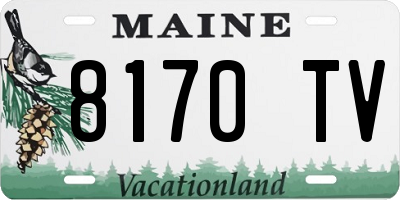ME license plate 8170TV