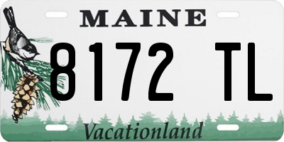 ME license plate 8172TL