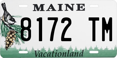 ME license plate 8172TM