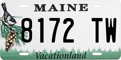 ME license plate 8172TW