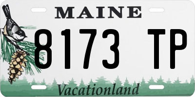 ME license plate 8173TP