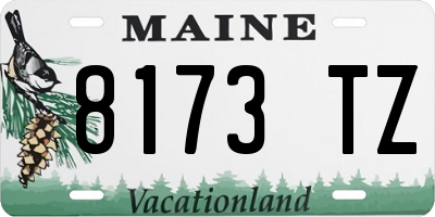 ME license plate 8173TZ