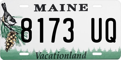 ME license plate 8173UQ