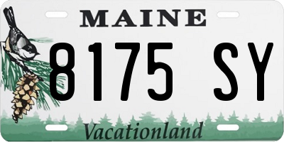 ME license plate 8175SY
