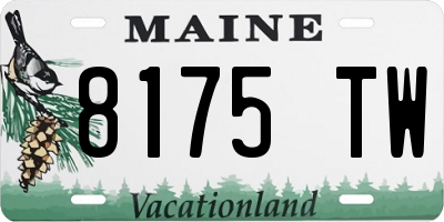 ME license plate 8175TW
