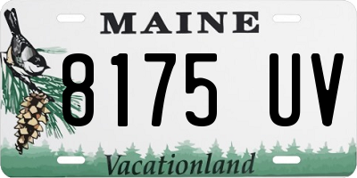 ME license plate 8175UV