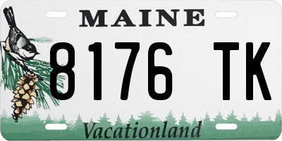 ME license plate 8176TK