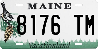 ME license plate 8176TM
