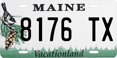 ME license plate 8176TX